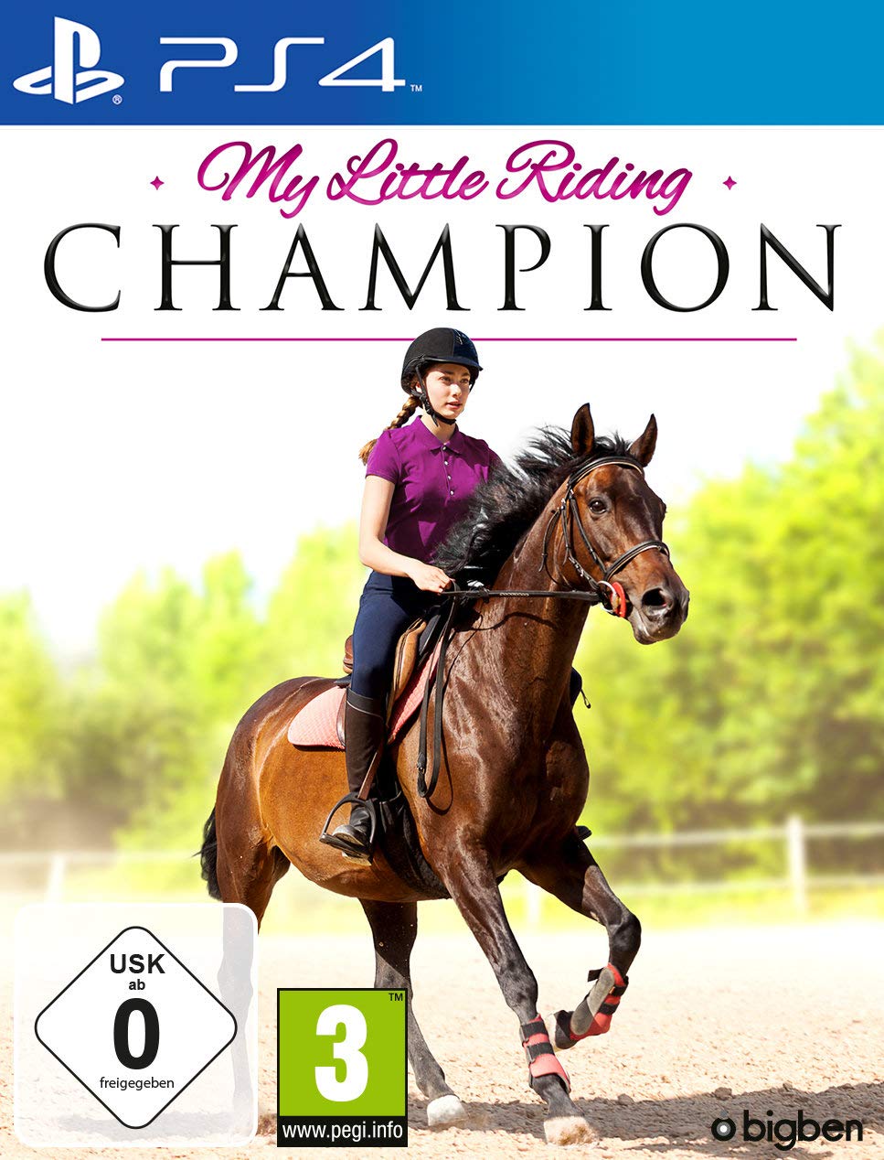 My Littel Riding Champion