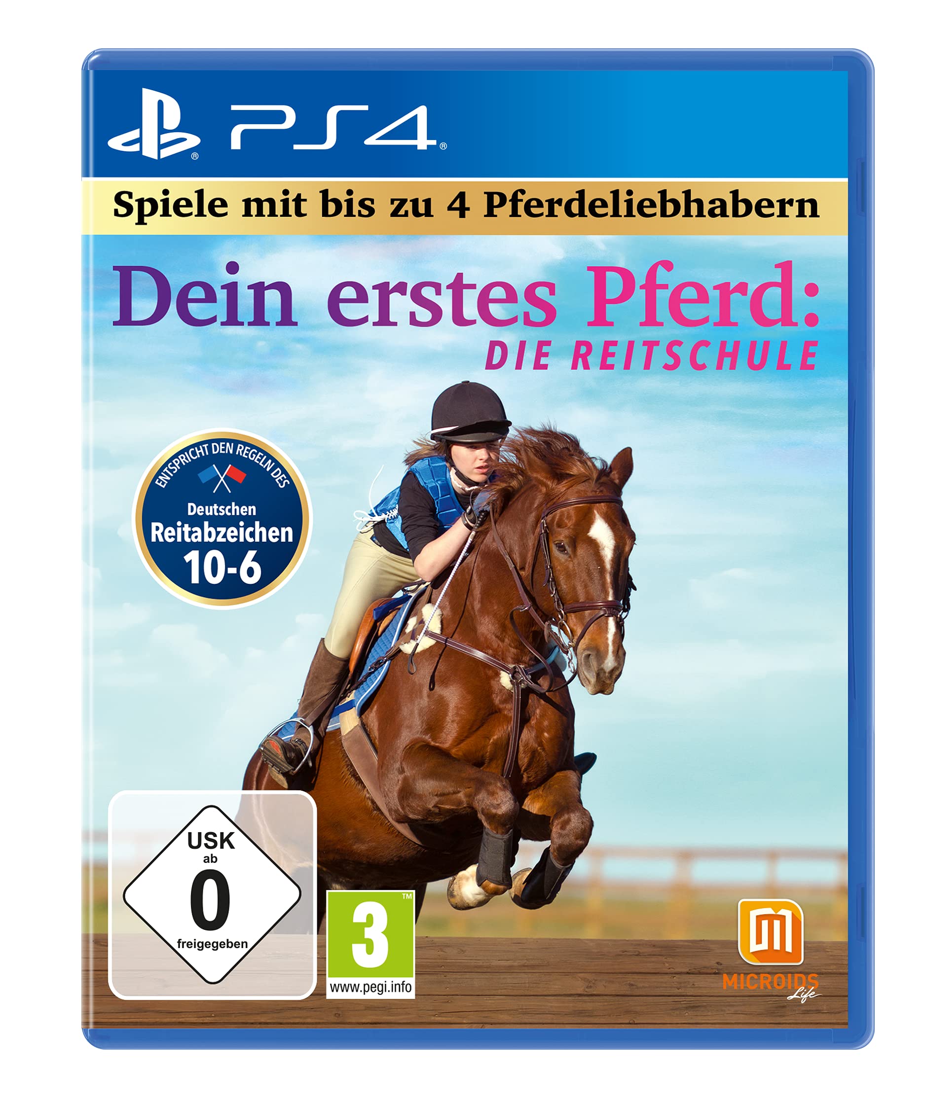 Dein erstes Pferd: Die Reitschule