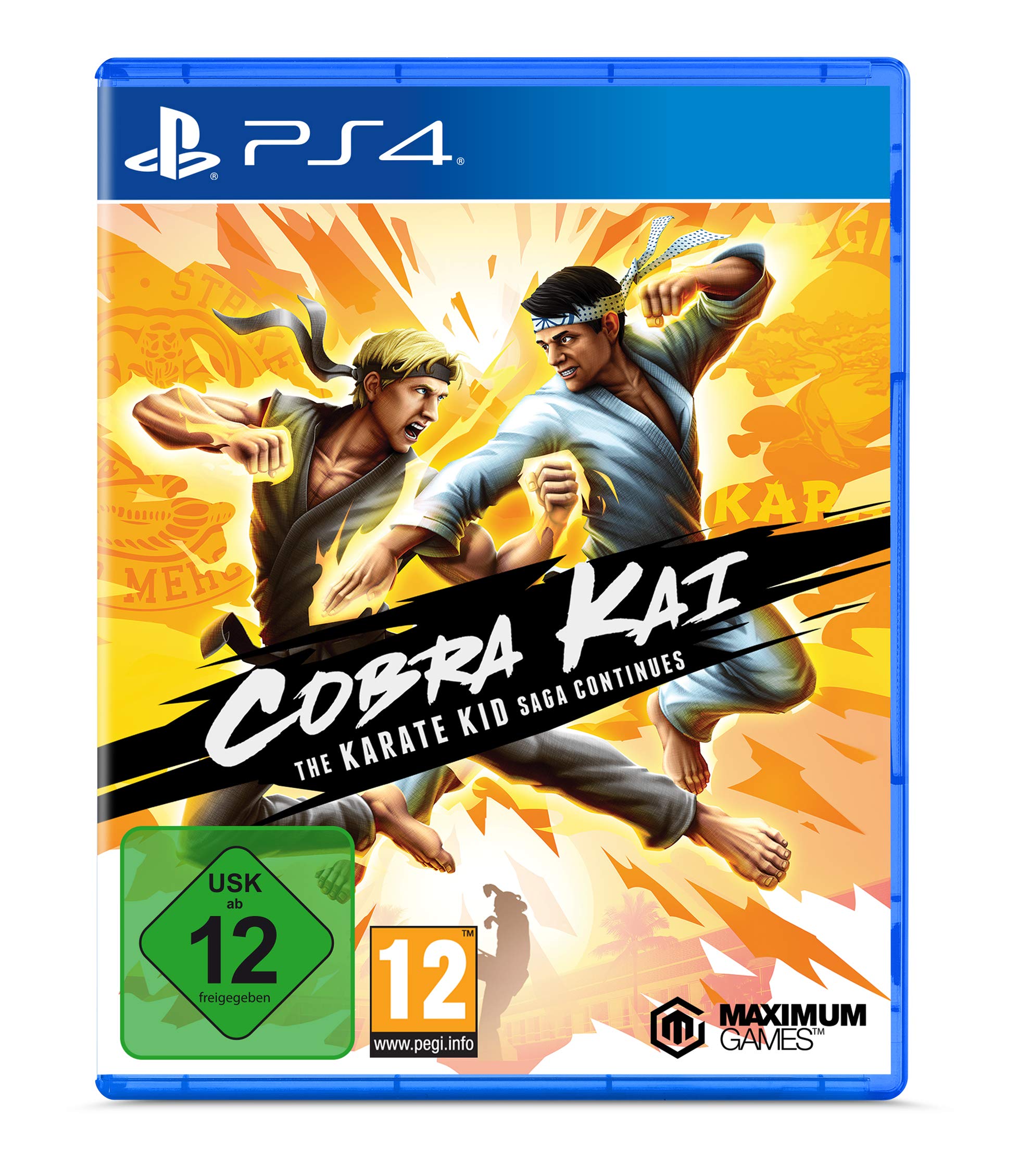Cobra Kai: The Karate Kid Saga Continues